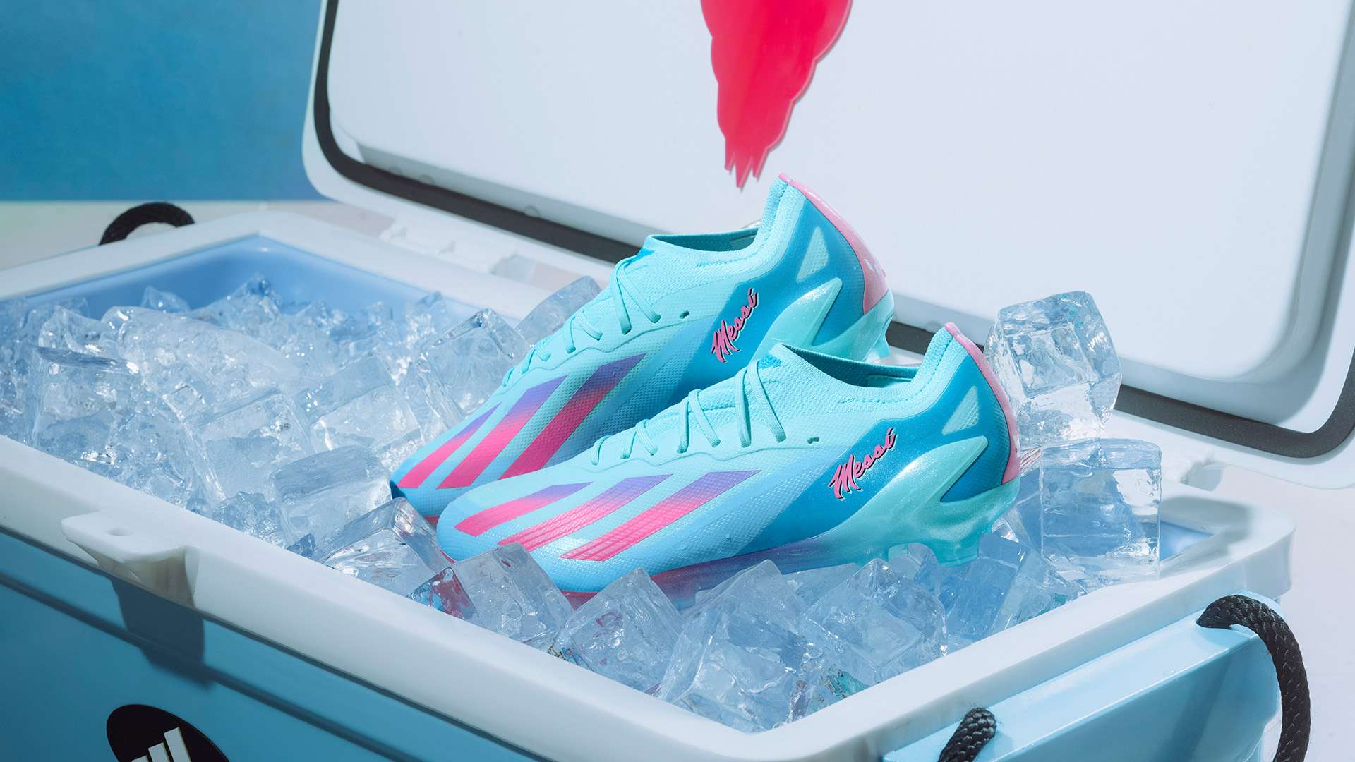 此次京滬大 此次京滬大