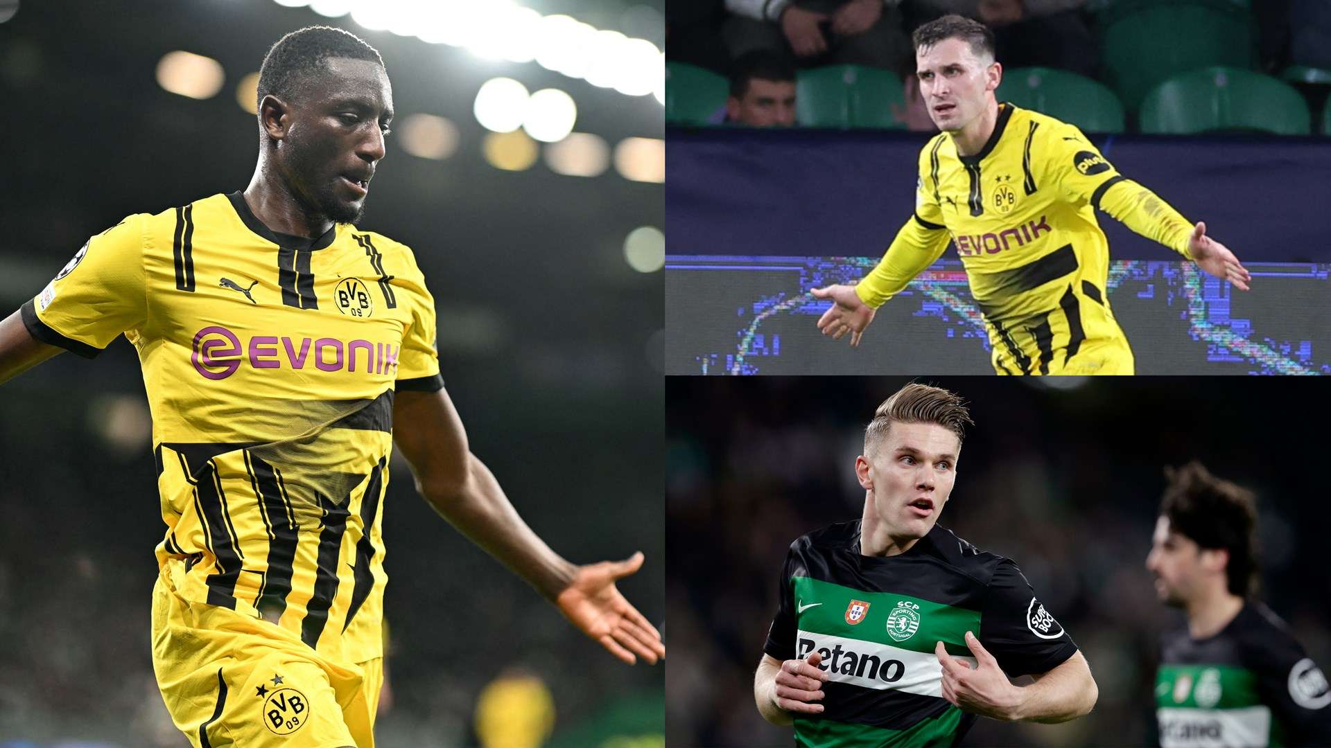 教练组对他 教练组对他